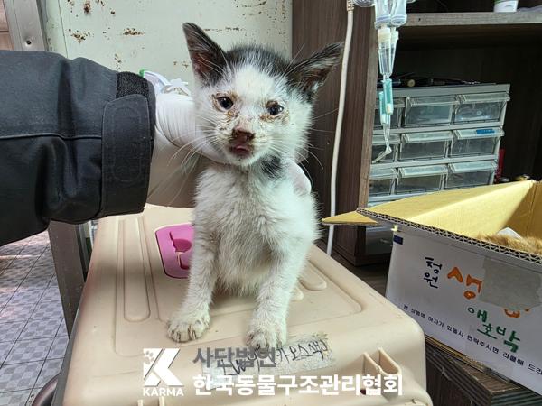 종료(자연사) 한국…